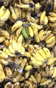 Bananas
