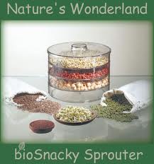 sprouter with a variety of sprouting seeds
