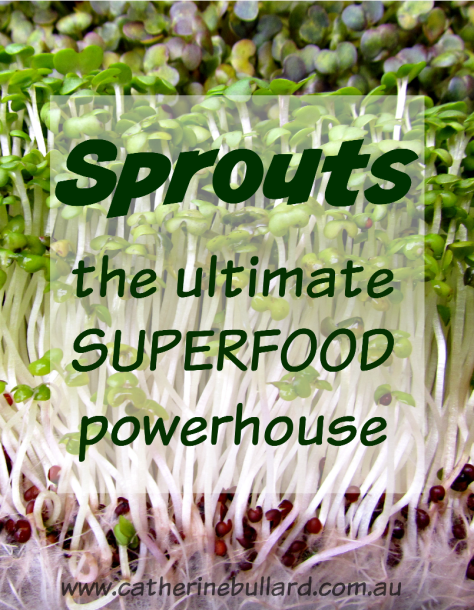 Superfood sprouts, a nutrient powerhouse