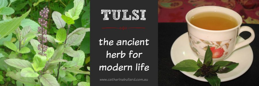 tulsi 
