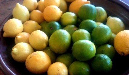 food for liver support