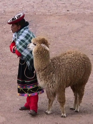 So many of the wonderful new healthy foods we can add to our diet come out of the countries of South America.