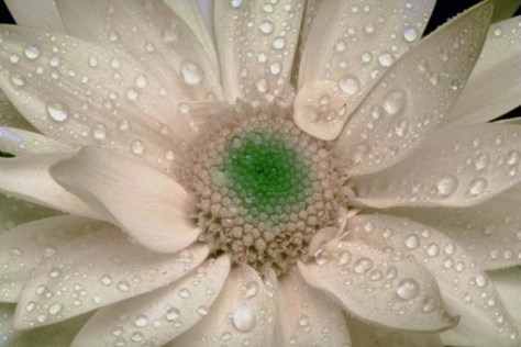 Acknowledge your strengths, the things you may not even recognize as they come so easily to you, and use those strengths to address ways in which you can make the world a better place. 