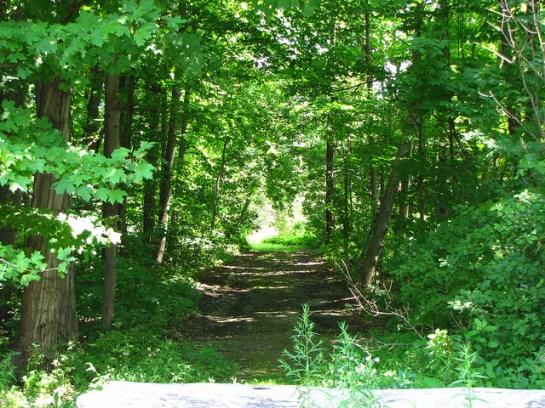 Leave the busy commotion of the mind...and enter into the stillness of the heart