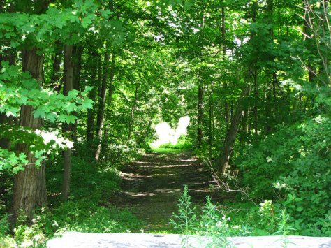 Living with the seasons