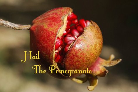 hail the pomegranate