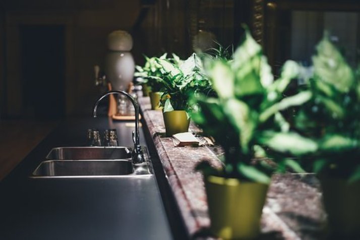 house plants kitchen-1867663__340 pixabay