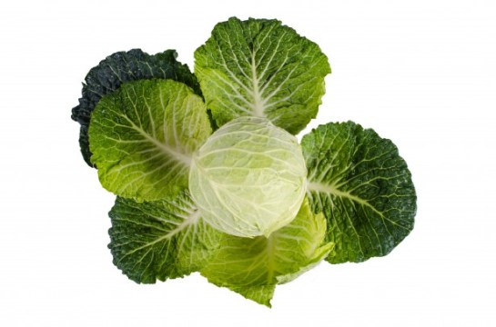 cabbage-1390046692DDy