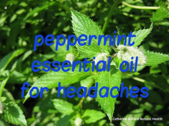 peppermint oil
