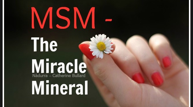 MSM The Miracle Mineral