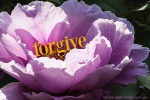 forgive and let go