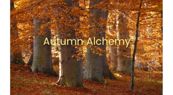 Autumn Alchemy: Embrace the Season’s Wisdom for Immune Health and Inner Peace