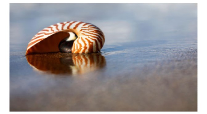 Calm Anxiety with Sensory Grounding